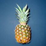 Grow Tropical at Home: Coffee Plants and Pineapple Trees