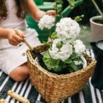 Plants in British Columbia & Where to Buy Planters for Your Garden