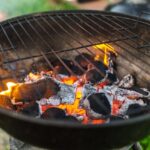 Pizza Ovens and Bird Feeders: Bringing Flavor and Nature to Your Garden